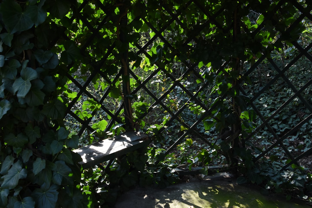 Das bunte Liebesleben von Nicolas Cage: Ein Blick auf seine Ehepartnerinnen