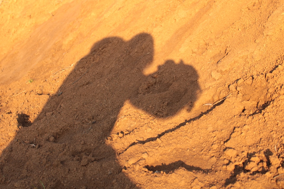 Das bewegte Liebesleben von Sylvester Stallone und seinen Ehepartnerinnen