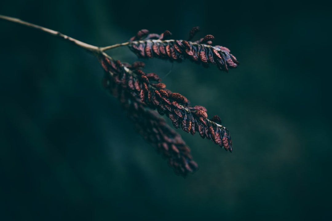 Salbeigrün Wandfarbe: Frische und Natürlichkeit für Ihr Zuhause