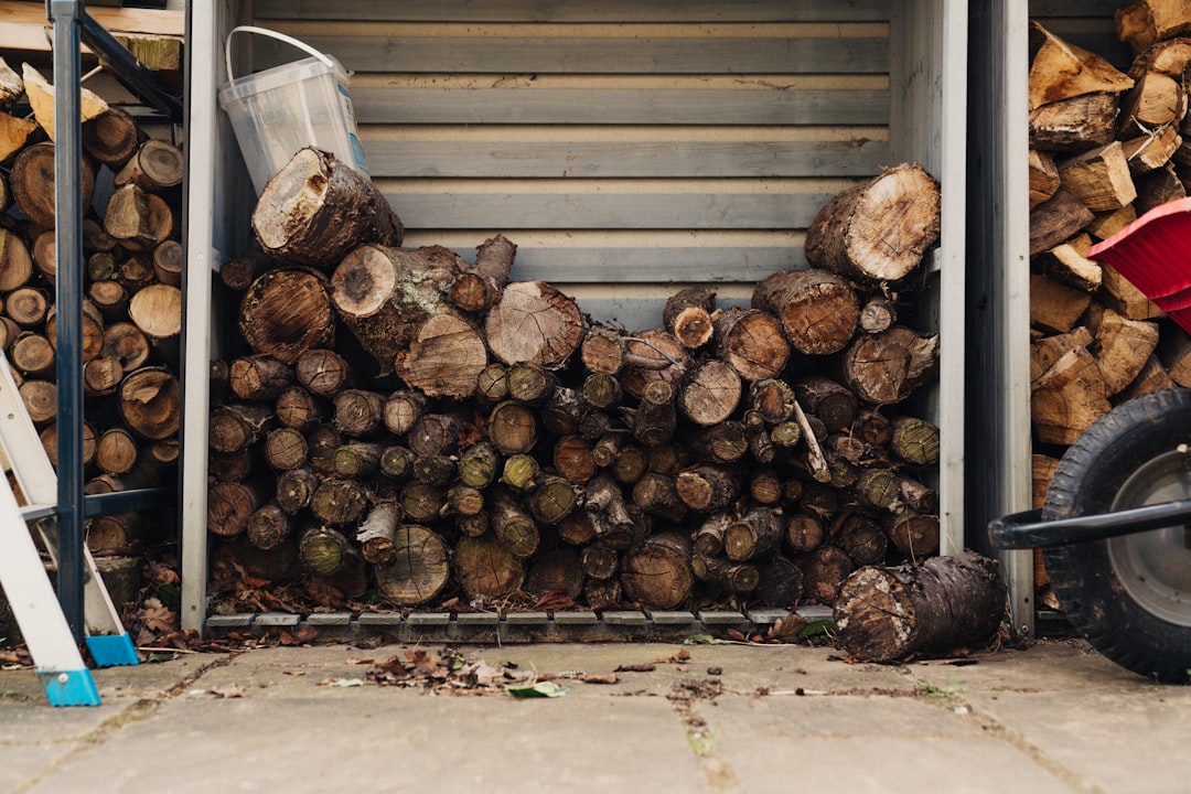 So wenig Strom braucht ein kleiner Kühlschrank wirklich