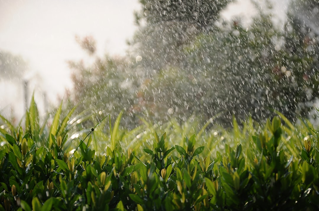Blumentopf Bewässerung Einfach Genial: Praktisch und Zeitsparend Pflanzen Pflegen