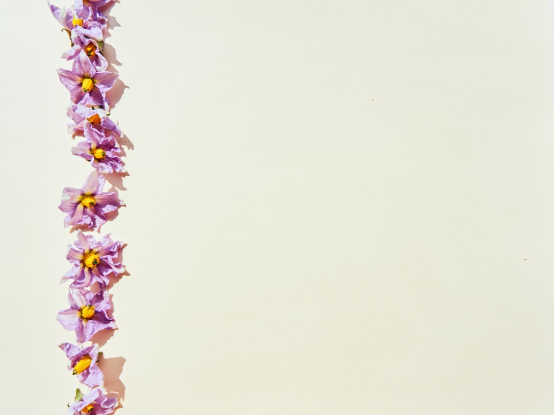 Frische und Ruhe im Wohnraum mit salbeigrüner Wandfarbe