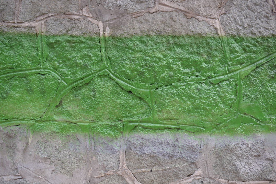 Frische Akzente im Raum: Wand grün streichen für mehr Wohlgefühl