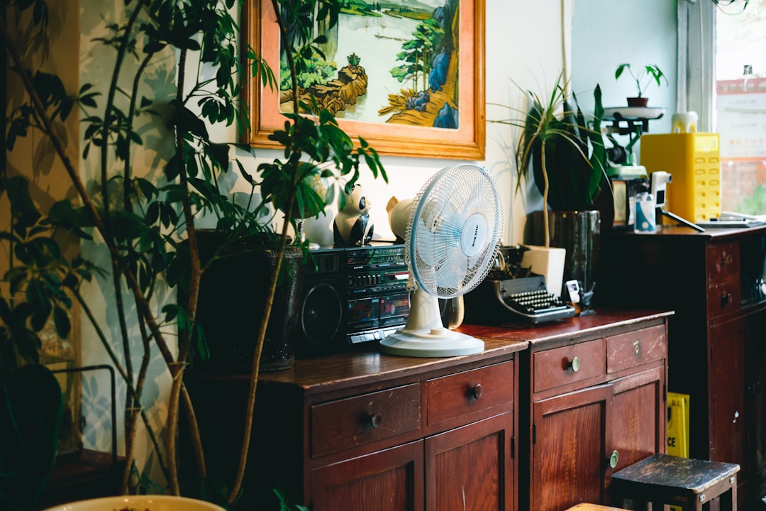 Salbeigrün Wandfarbe: Frische und Ruhe im Wohnzimmer