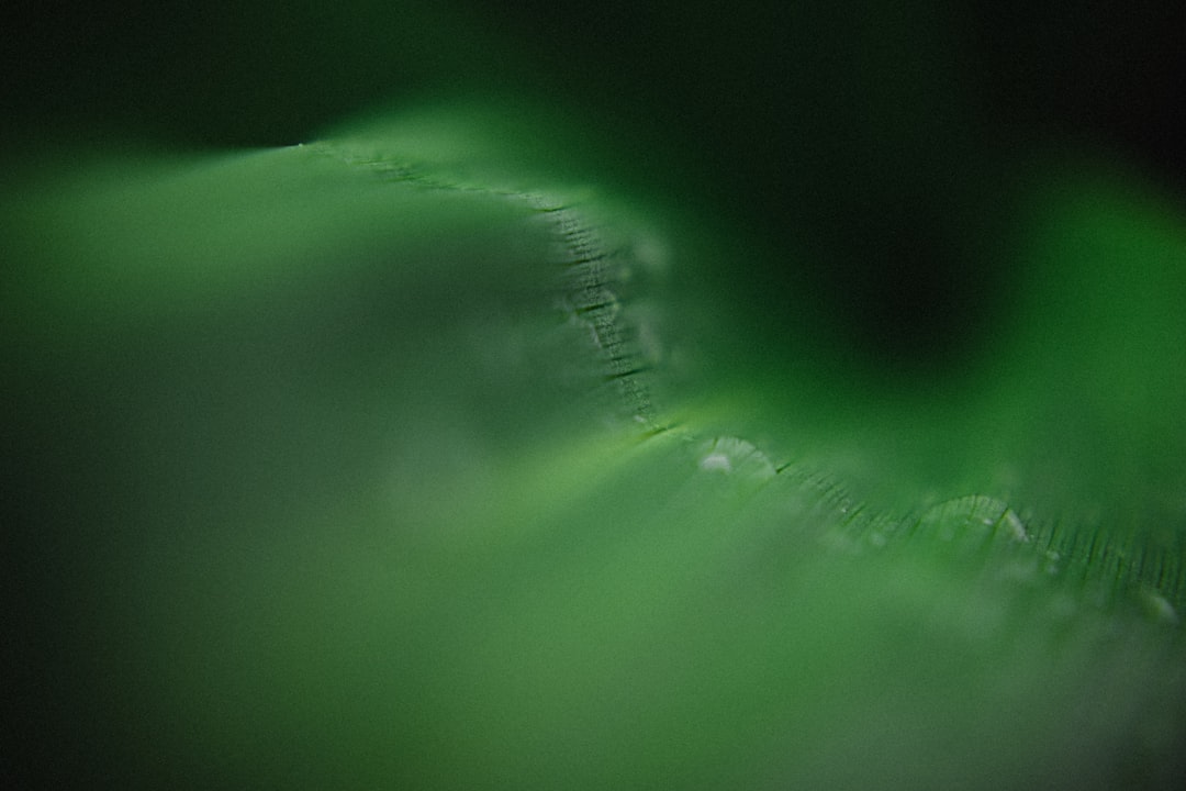 Frische Räume mit Wandfarbe Salbei Grün: Ruhe und Stil für das Zuhause