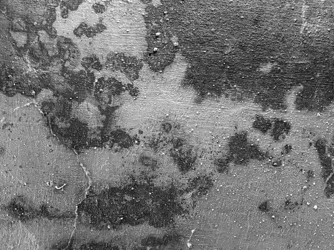 Starke Kellerwände – Neue Frische durch Verputzen